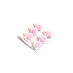  Koristeruusut pyykkipojalla - Vaaleanpunaiset, 3,5cm, 6kpl