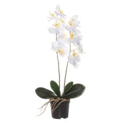  Valkoinen Orkidea ruukussa - Tekokasvi, 59 cm