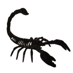  Skorpioni - Musta sametti, 20,5 cm