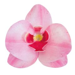 Dekora Syötävät Vohvelikukat - Vaaleanpunainen Orkidea, 10kpl