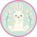 My Dream Day Kakkukuva - Birthday Bunny