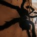  Pörröinen musta hämähäkki, 75cmx40cm