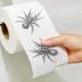  WC-paperi - Hämähäkki