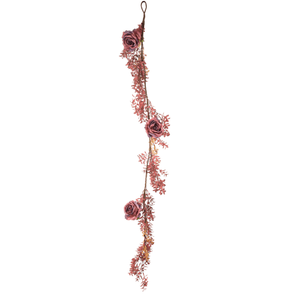  Lehtiköynnös Ruusuilla - Purppura, 1,5m